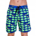 Costume de baie pentru bărbați 69SLAM Short Boardshort Medium Elephant Verde