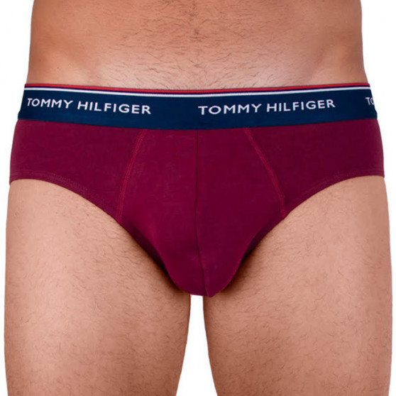 3PACK slipuri bărbați Tommy Hilfiger multicolore (1U87903766 096)