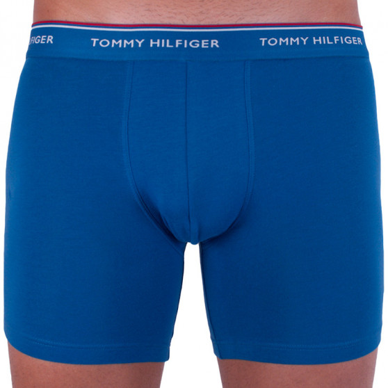 3PACK boxeri bărbați Tommy Hilfiger multicolori (UM0UM00010 071)