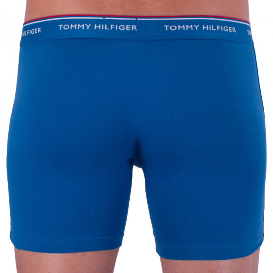 3PACK boxeri bărbați Tommy Hilfiger multicolori (UM0UM00010 071)