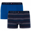 2PACK boxeri bărbați Tommy Hilfiger multicolori (UM0UM00945 047)