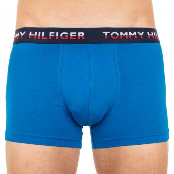 2PACK boxeri bărbați Tommy Hilfiger multicolori (UM0UM01233 014)