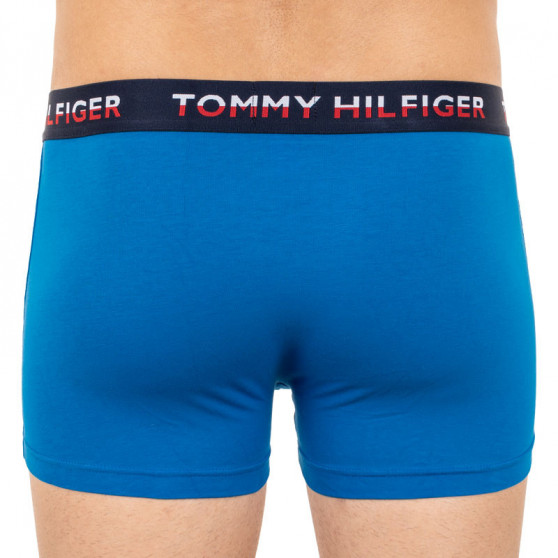 2PACK boxeri bărbați Tommy Hilfiger multicolori (UM0UM01233 014)