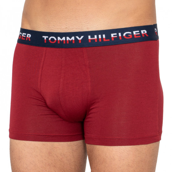 2PACK boxeri bărbați Tommy Hilfiger multicolori (UM0UM01233 582)