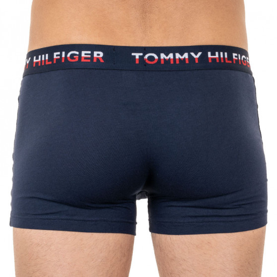 2PACK boxeri bărbați Tommy Hilfiger multicolori (UM0UM01233 088)