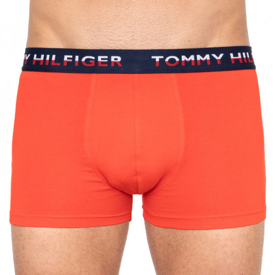 2PACK boxeri bărbați Tommy Hilfiger multicolori (UM0UM01233 021)