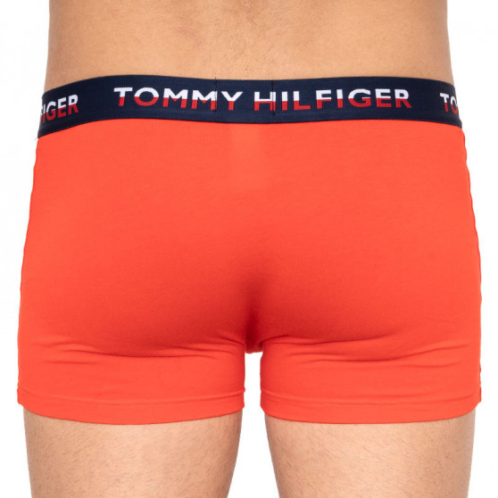 2PACK boxeri bărbați Tommy Hilfiger multicolori (UM0UM01233 021)