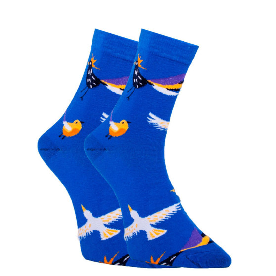 Șosete fericite Dots Socks păsărele (DTS-SX-416-N)
