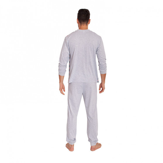 Pijamale pentru bărbați Foltýn gri (FPD4)