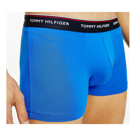 3PACK boxeri bărbați Tommy Hilfiger multicolori (1U87903842 0T1)