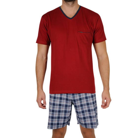 Pijamale pentru bărbați Cornette Tom multicolor (329/114)