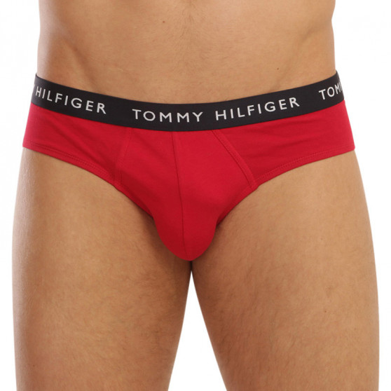 3PACK slipuri bărbați Tommy Hilfiger multicolore (UM0UM02206 0XI)