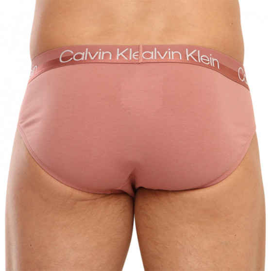 3PACK slipuri bărbați Calvin Klein multicolore (NB2969A-1RM)