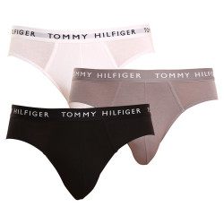3PACK slipuri bărbați Tommy Hilfiger multicolore (UM0UM02206 0TG)