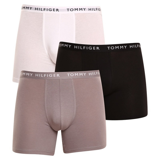 3PACK boxeri bărbați Tommy Hilfiger multicolori (UM0UM02204 0TG)