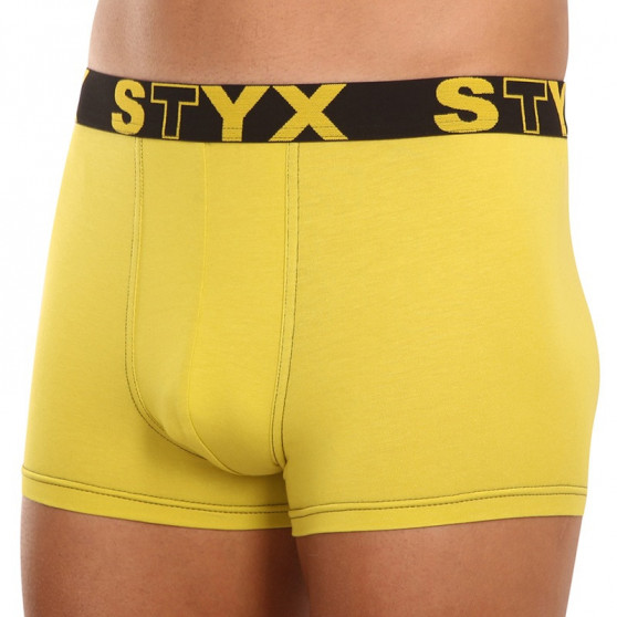 Boxeri bărbați Styx elastic sport galben-verde (G1065)