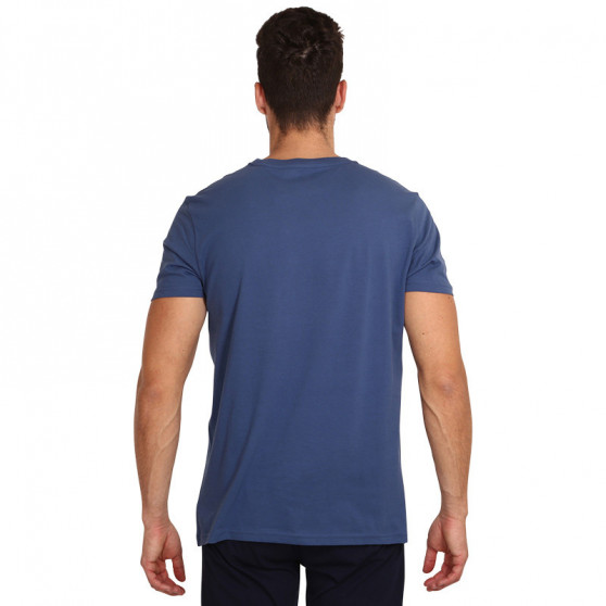 Tricou bărbătesc Tommy Hilfiger albastru (UM0UM01434 C47)