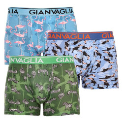 3PACK boxeri bărbați Gianvaglia multicolori (GVG-5501)