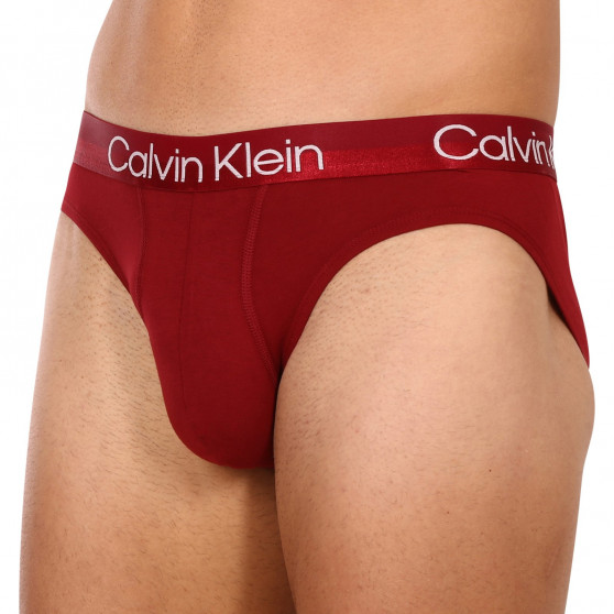 3PACK slipuri bărbați Calvin Klein multicolore (NB2969A-6IN)