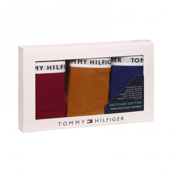 3PACK chiloți damă Tommy Hilfiger multicolori (UW0UW02828 0XH)
