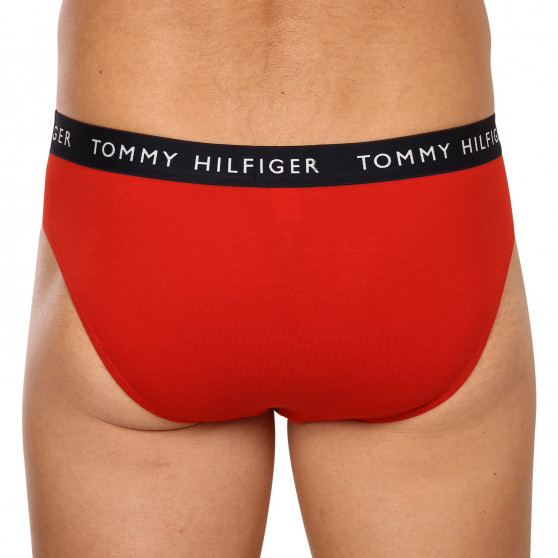 3PACK slipuri bărbați Tommy Hilfiger multicolore (UM0UM02206 0SJ)