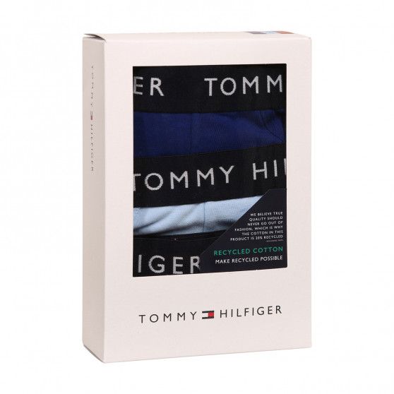 3PACK slipuri bărbați Tommy Hilfiger multicolore (UM0UM02206 0SJ)