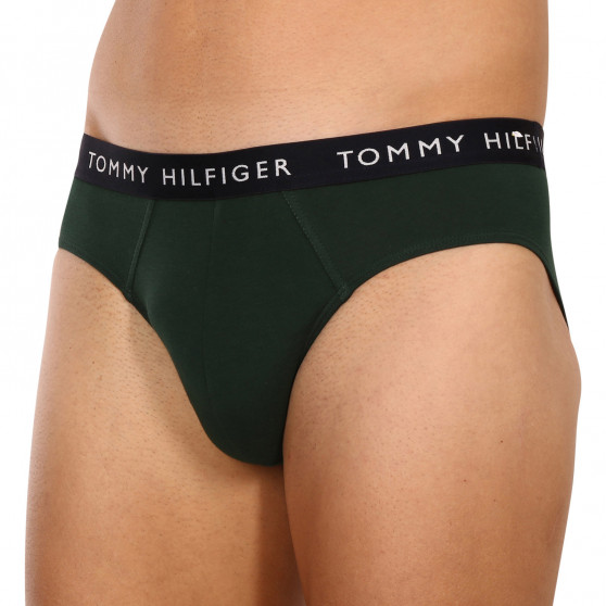 3PACK slipuri bărbați Tommy Hilfiger multicolore (UM0UM02206 0UJ)