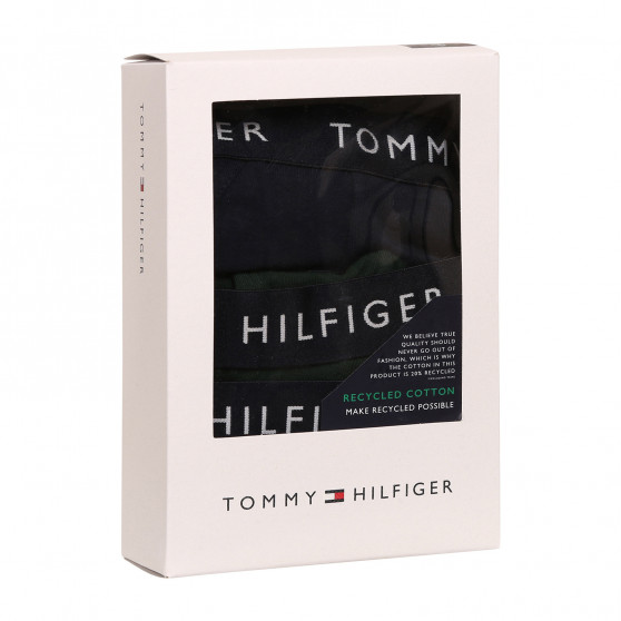 3PACK slipuri bărbați Tommy Hilfiger multicolore (UM0UM02206 0UJ)