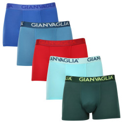 5PACK boxeri bărbați Gianvaglia multicolori (GVG-5006)
