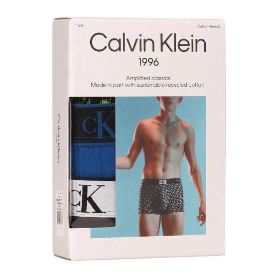 3PACK boxeri bărbați Calvin Klein multicolori (NB3528A-DYD)