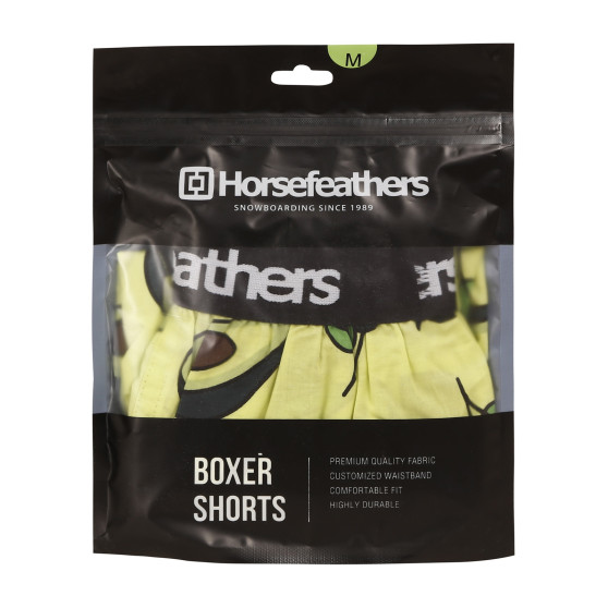 Boxeri largi bărbați Horsefeathers Frazier Avocado (AM166H)