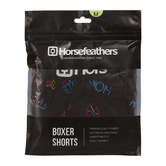 Boxeri largi bărbați Horsefeathers Frazier Sweet candy (AM166G)