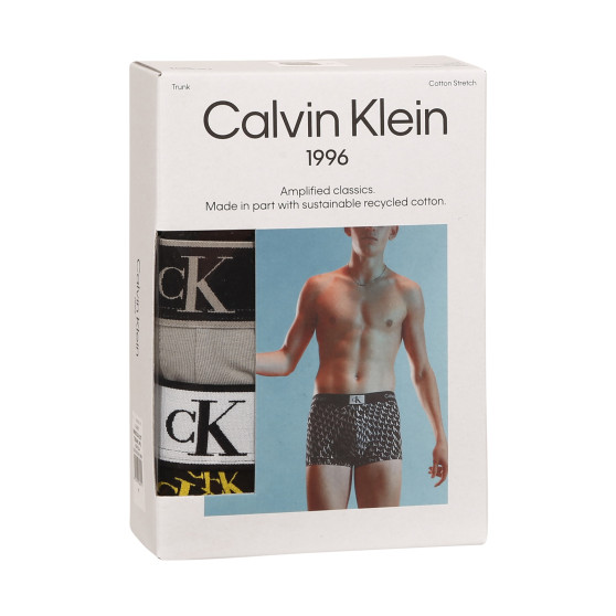 3PACK boxeri bărbați Calvin Klein multicolori (NB3528A-DXT)