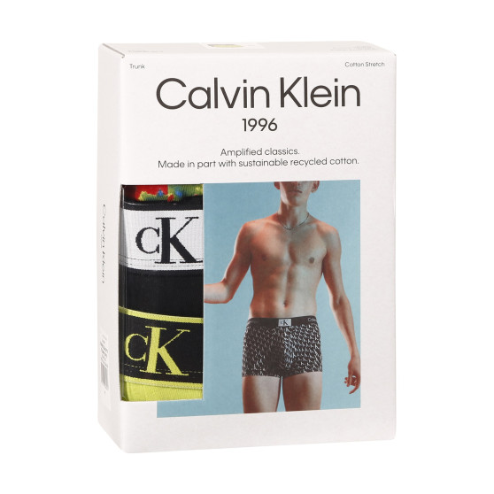 3PACK boxeri bărbați Calvin Klein multicolori (NB3528A-DY0)