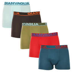 5PACK boxeri bărbați Gianvaglia multicolori (GVG-5009)