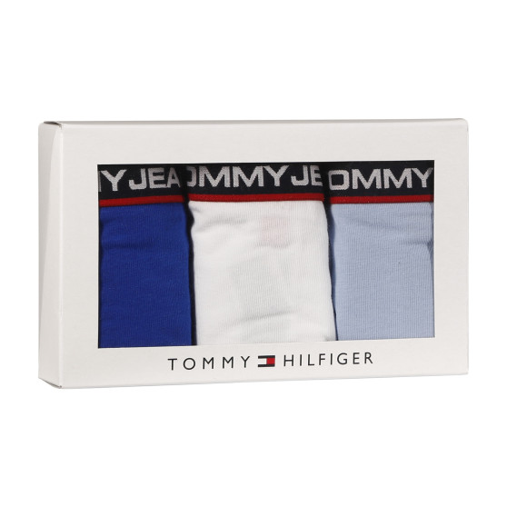 3PACK chiloți damă Tommy Hilfiger multicolori (UW0UW04710 0SQ)
