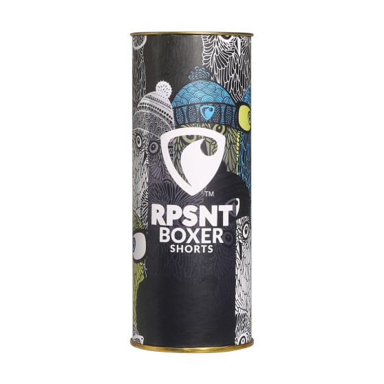 Boxeri largi bărbați  Represent exclusiv Ali Paw Squad (R3M-BOX-0644)