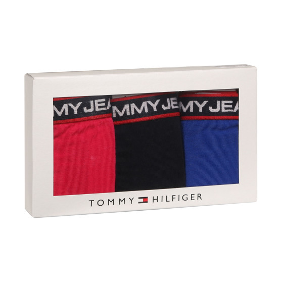 3PACK chiloți damă Tommy Hilfiger multicolori (UW0UW04710 0SC)
