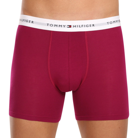 3PACK boxeri bărbați Tommy Hilfiger multicolori (UM0UM02941 0U6)