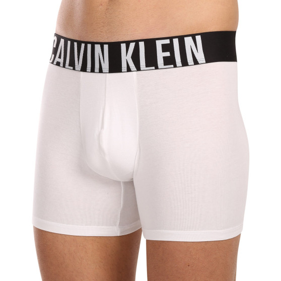 3PACK boxeri bărbați Calvin Klein multicolori (NB3609A-MP1)