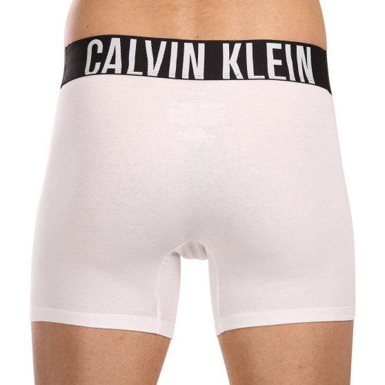 3PACK boxeri bărbați Calvin Klein multicolori (NB3609A-MP1)