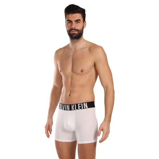 3PACK boxeri bărbați Calvin Klein multicolori (NB3609A-MP1)