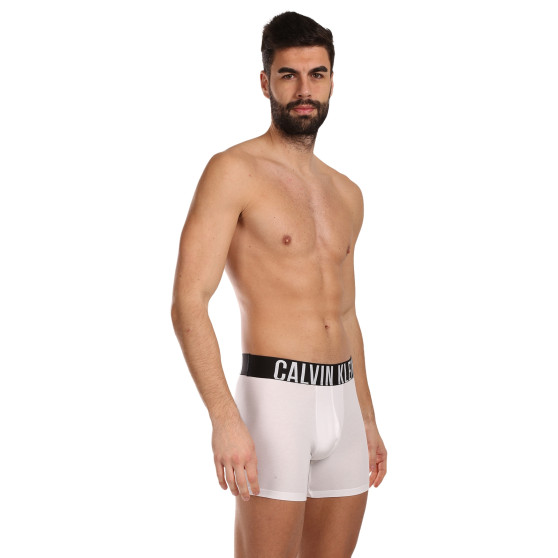 3PACK boxeri bărbați Calvin Klein multicolori (NB3609A-MP1)