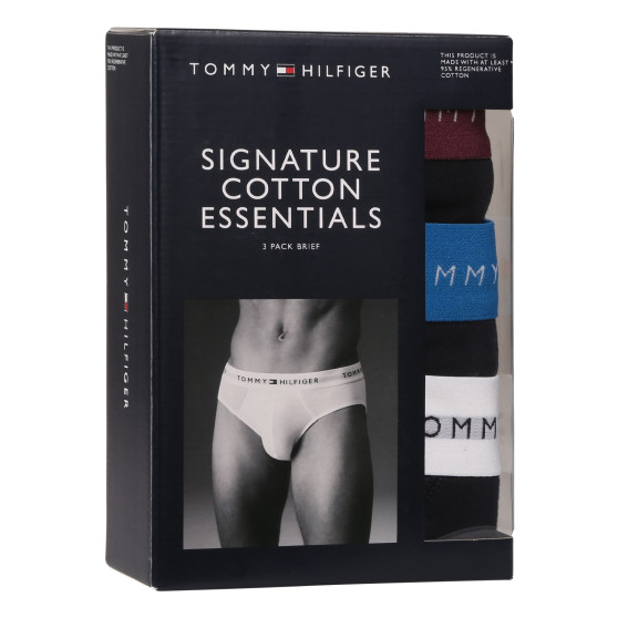 3PACK slipuri bărbați Tommy Hilfiger albastru închis (UM0UM02904 0VZ)