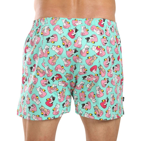 Represent Shorts pentru bărbați exclusiv Ali Bulldog Bathing (R4M-BOX-0611)