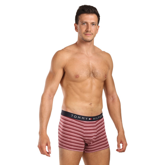 3PACK boxeri bărbați Tommy Hilfiger multicolori (UM0UM03399 0XO)