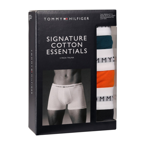 3PACK boxeri bărbați Tommy Hilfiger multicolori (UM0UM02761 0VH)