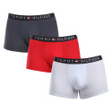 3PACK boxeri bărbați Tommy Hilfiger multicolori (UM0UM03180 0R1)