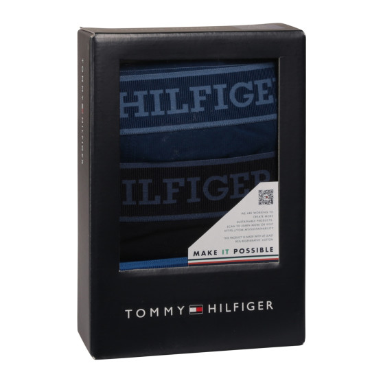 3PACK boxeri bărbați Tommy Hilfiger multicolori (UM0UM03413 0XW)