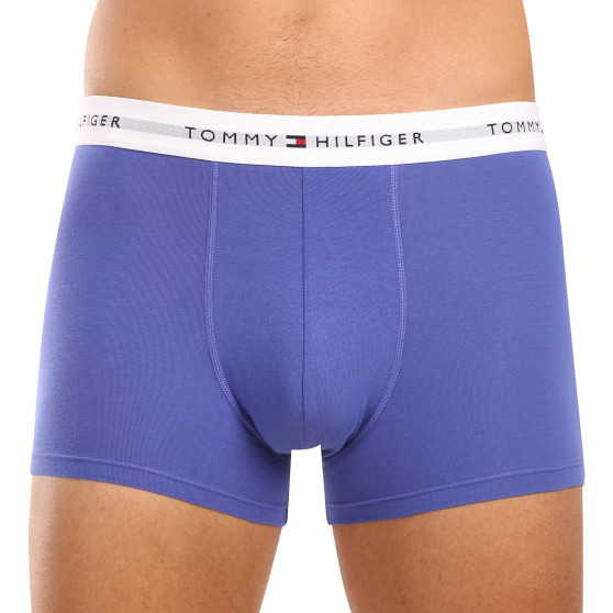 3PACK boxeri bărbați Tommy Hilfiger multicolori (UM0UM02761 0UI)